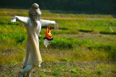 かかしもハロウィン
