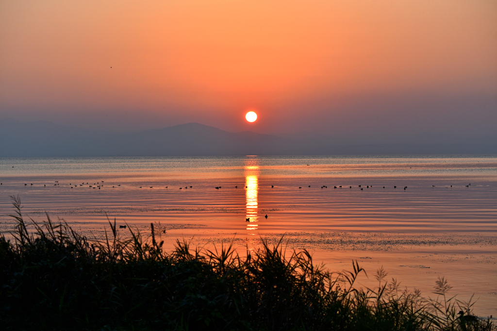 琵琶湖夕景