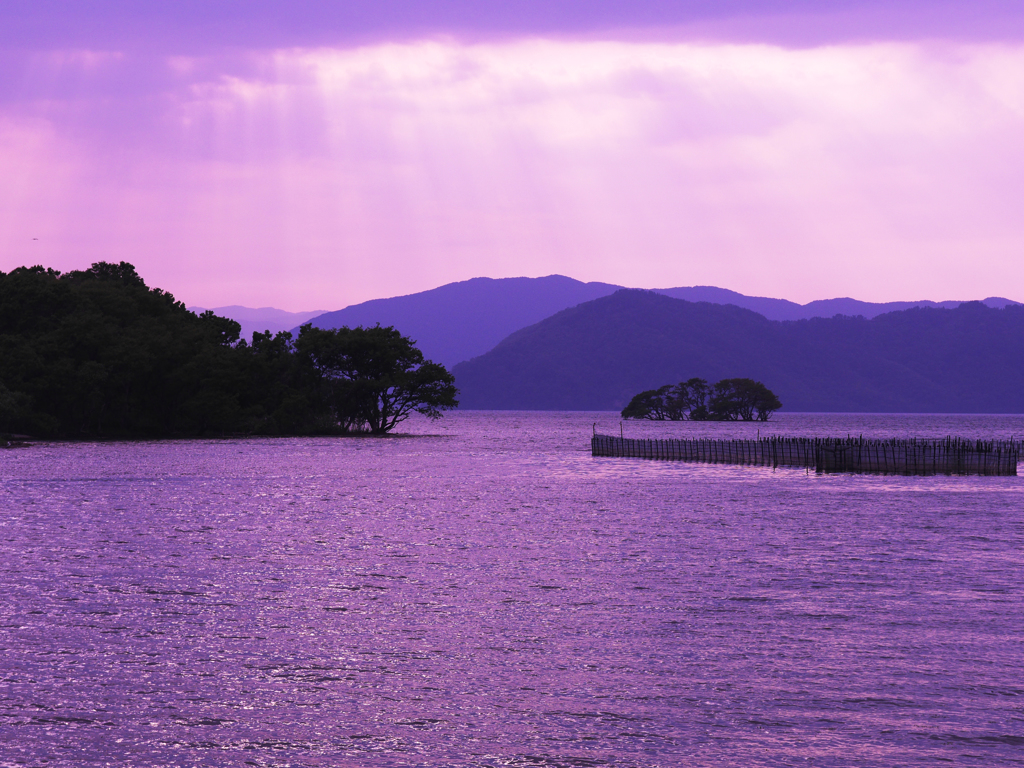 雲紫