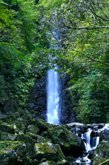 養老の滝