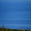 オホーツク海