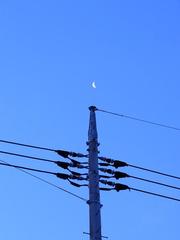 moon