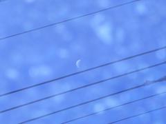 moon in water
