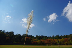IMGP0934