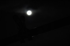 月夜に浮かぶ黒い影。