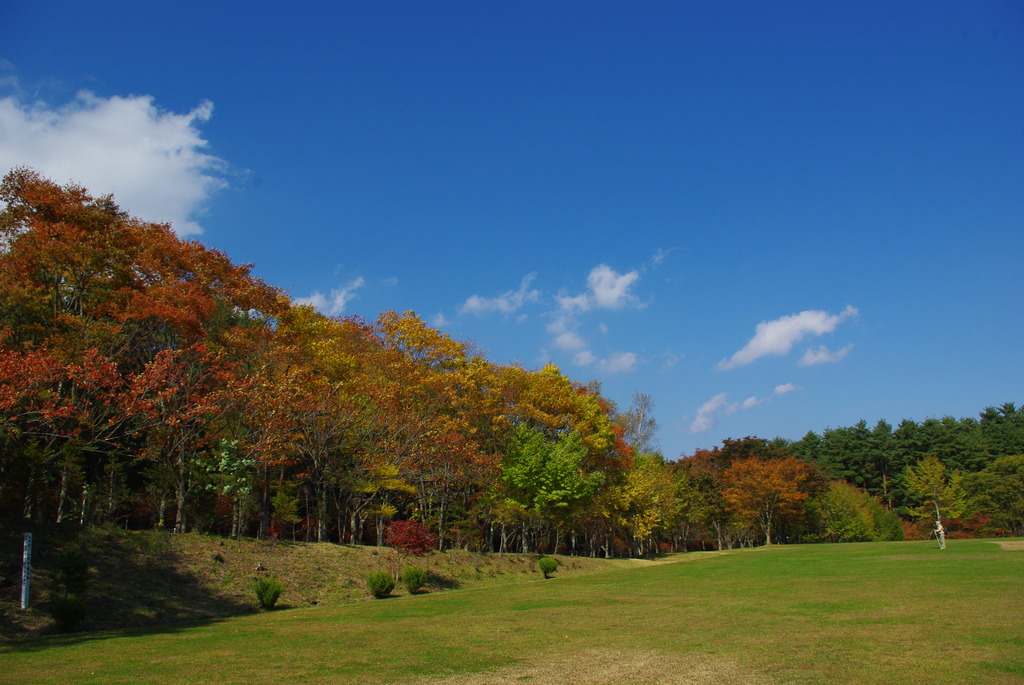 IMGP0955