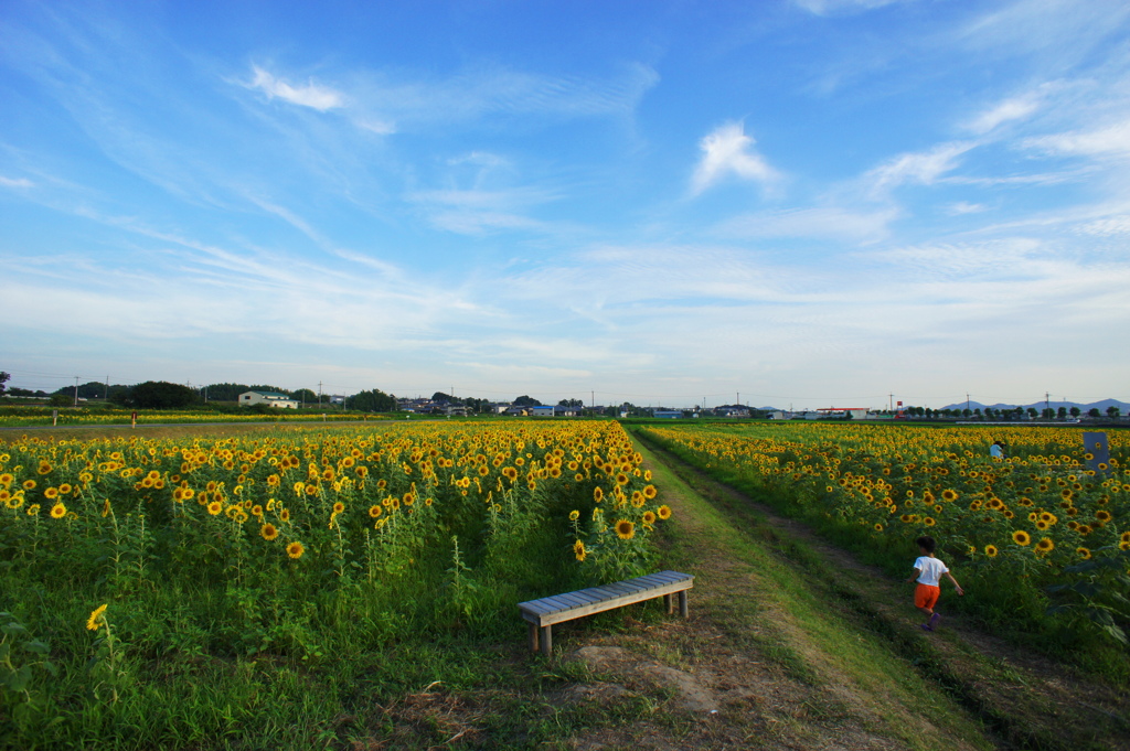 さあ！夏休みのはじまりだぁ＾＾