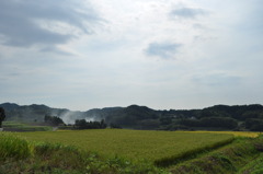 田園風景