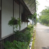 城下町篠山