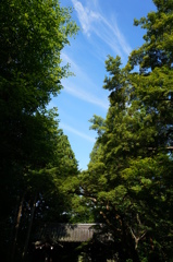 山門の空