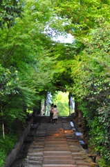 いざ　高台寺へ