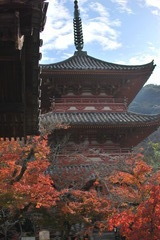 太山寺　三重塔（有形文化財）