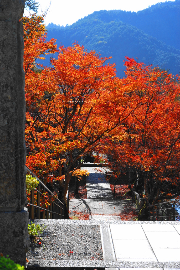 紅いトンネル