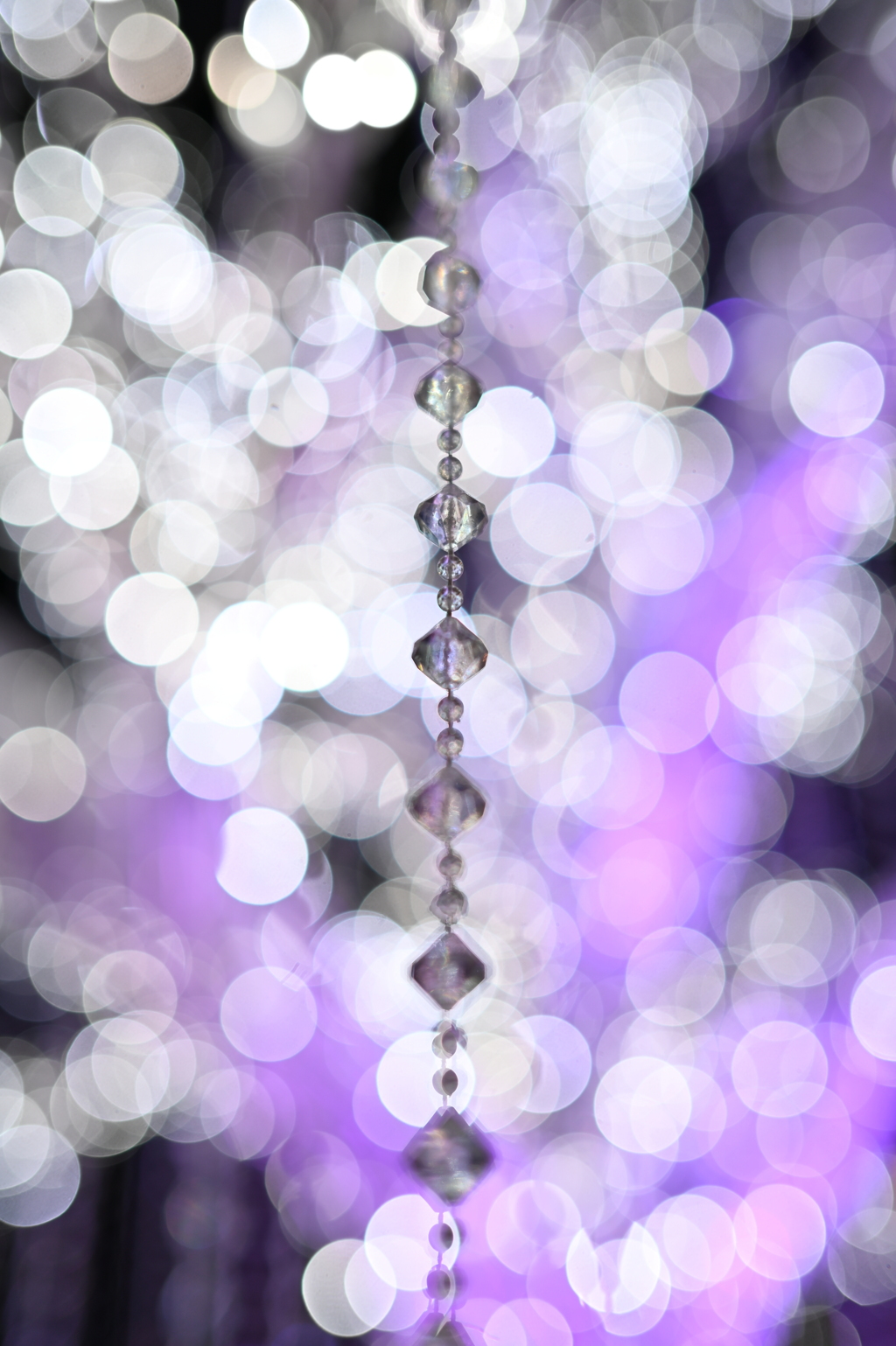 キラキラが撮りたくて