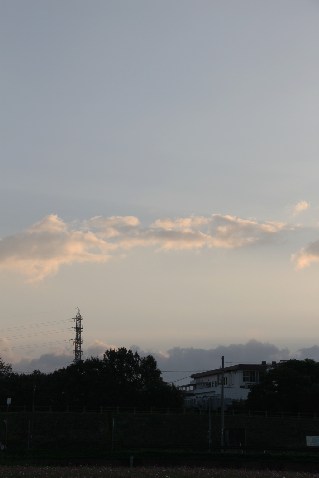 静寂を抱く朝