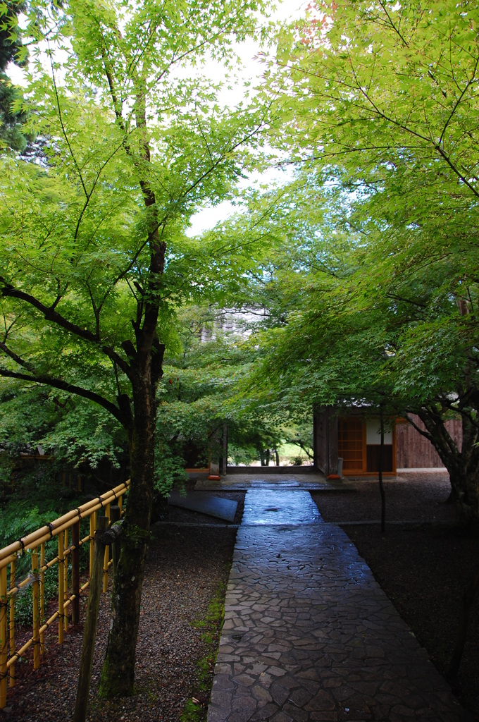 雨の功名