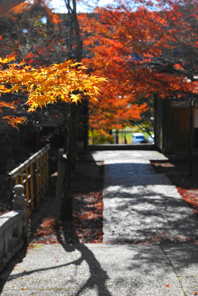 円通寺