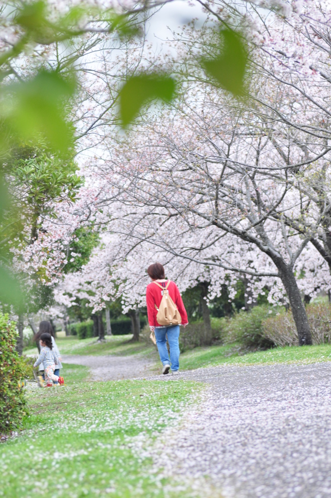 お花見しようね＾＾