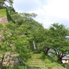 裏門