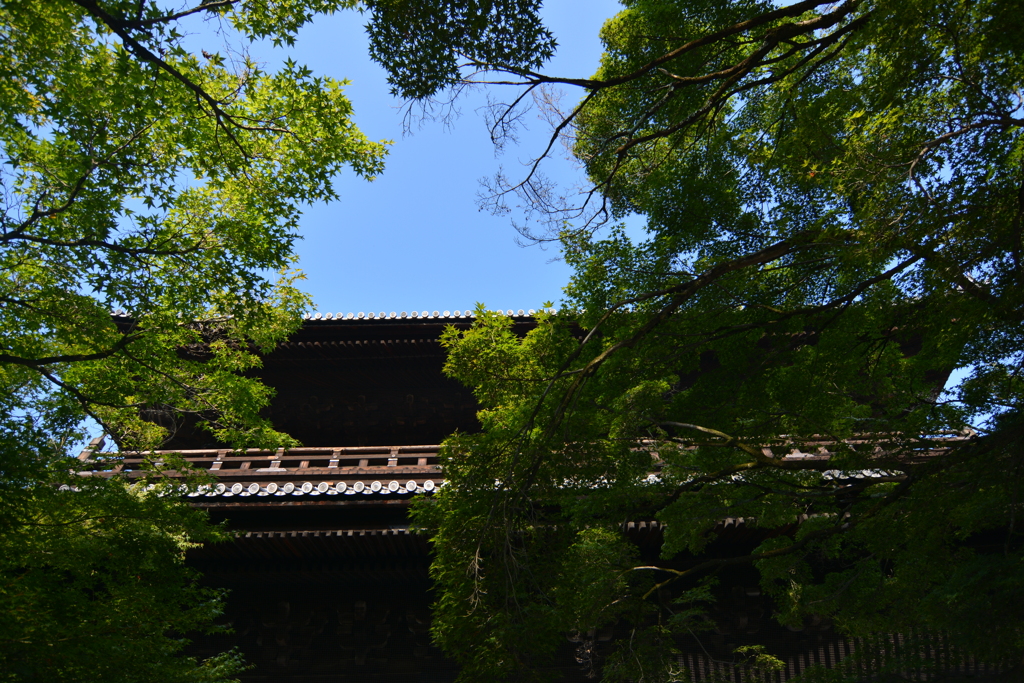 荘厳な
