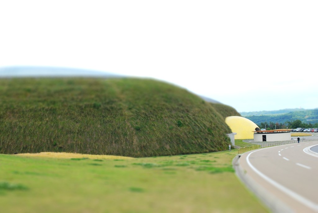 beansdome