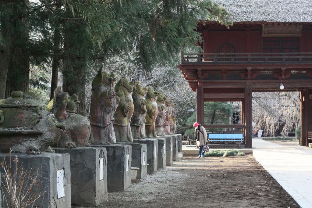 たぬきのお寺