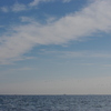 12月の海