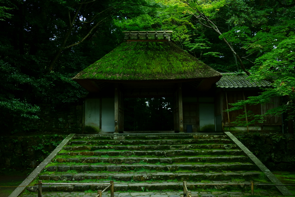 法然院　茅葺きの山門