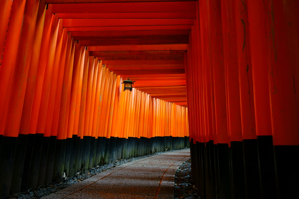 千本鳥居