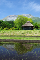 御机　茅葺き小屋