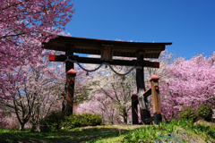 蘇羅比古神社