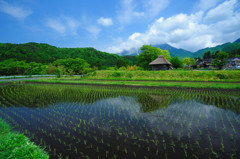 ５月御机集落