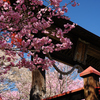 蘇羅比古神社