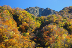 大山・元谷の紅葉