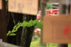 願い