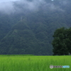 雨上がり