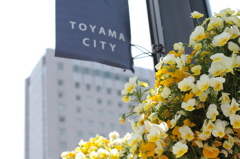 ｔｏｙａｍａ