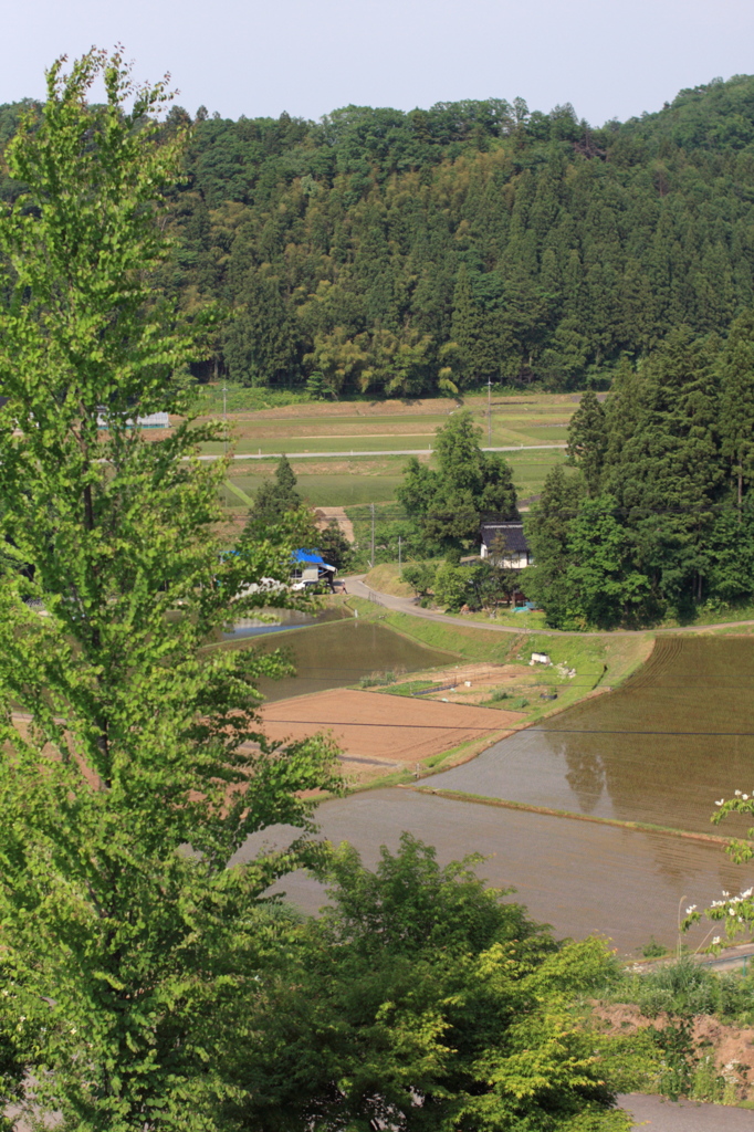 田園風景
