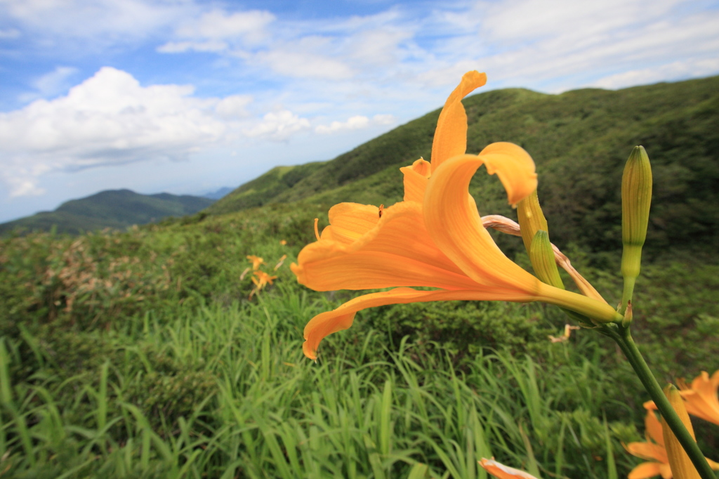 大地の色