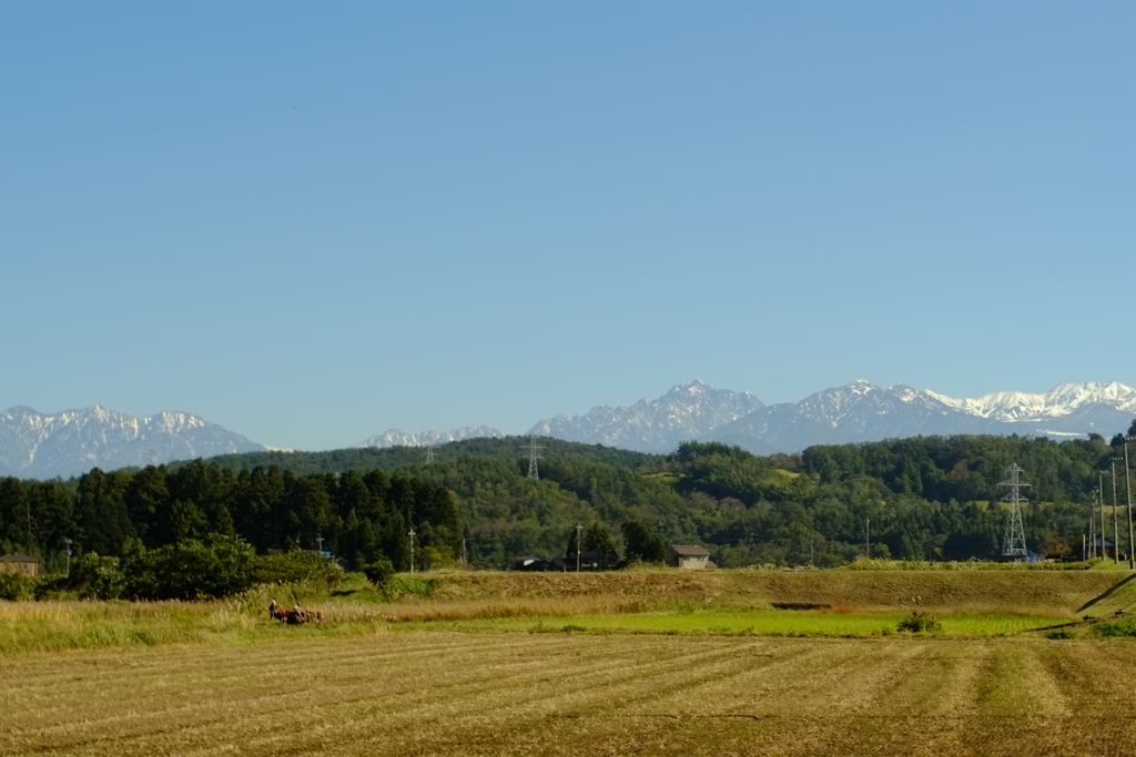 平和な一日