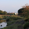 それぞれの家路