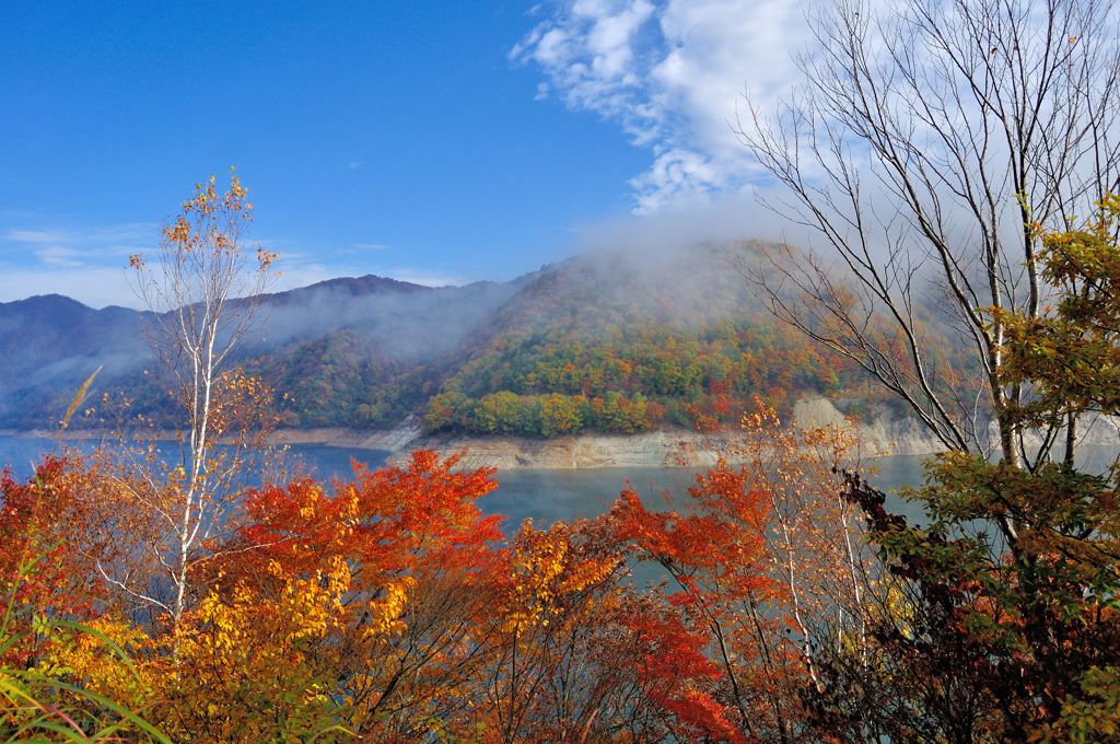 紅葉／御母衣湖