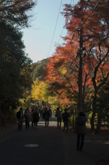 あじさい寺前