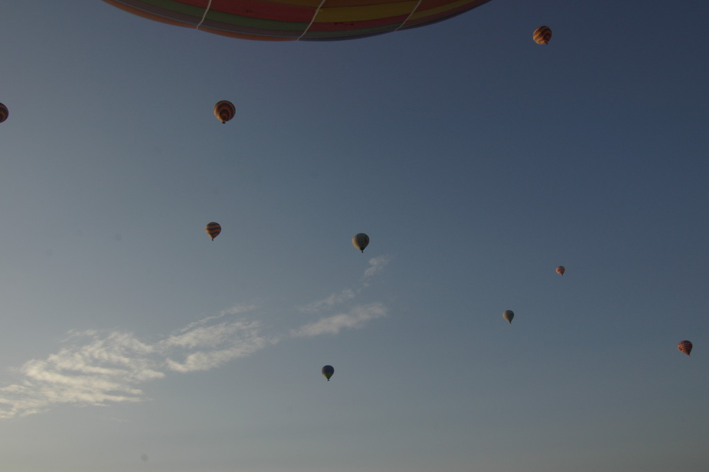 Fly High