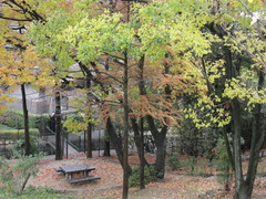 雨上がりの公園