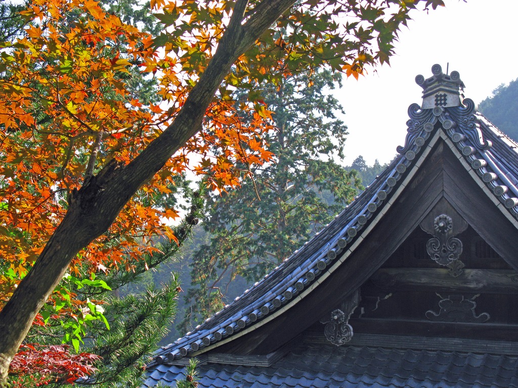 寺の秋