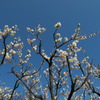 青空