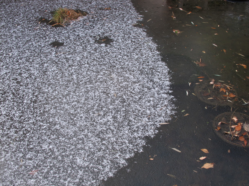 池に初雪