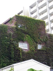 歳月