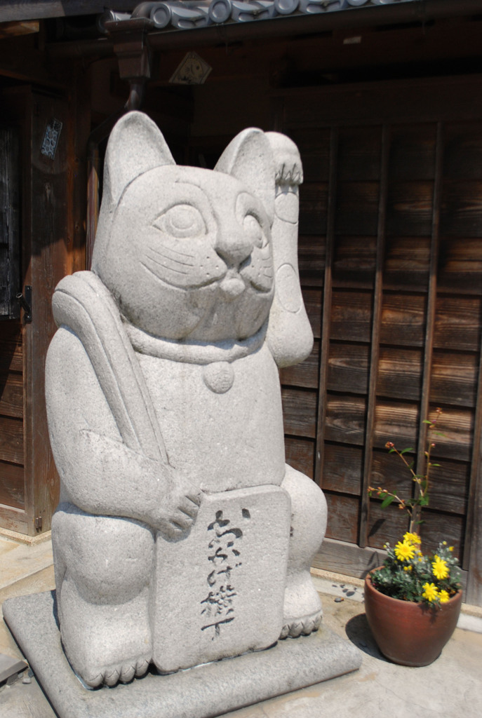 おかげ横丁の看板猫